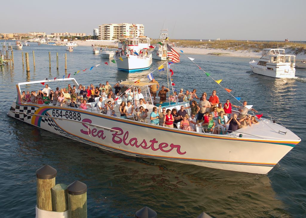 Frequently Asked Questions | Destin's Original Sea Blaster Dolphin Tours