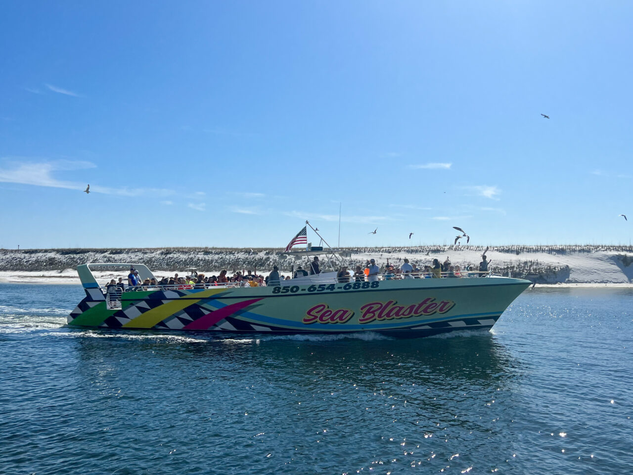 Destin's Original Sea Blaster Dolphin Tours | Destin's Most Exciting